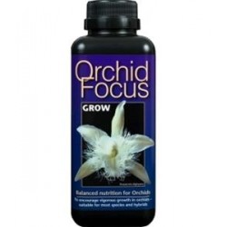 ORCHID FOCUS GROW 1L