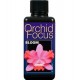 ORCHID FOCUS BLOOM 1L