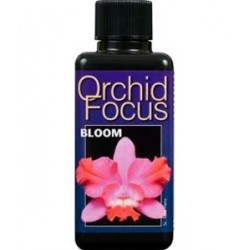 ORCHID FOCUS BLOOM 1L