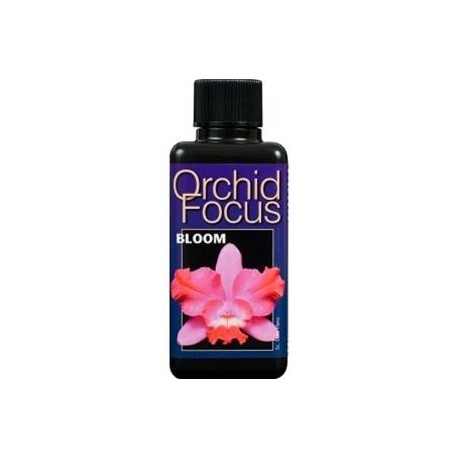 ORCHID FOCUS BLOOM 1L