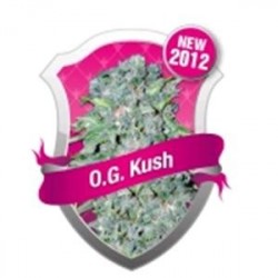 OG KUSH * ROYAL QUEEN SEEDS 10 SEMI FEM 