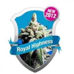 ROYAL HIGHNESS * ROYAL QUEEN SEEDS 1 SEME FEM 