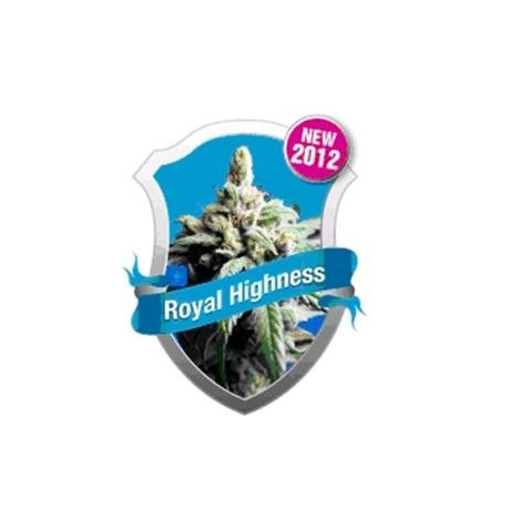 ROYAL HIGHNESS * ROYAL QUEEN SEEDS 1 SEME FEM 