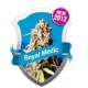 ROYAL MEDIC * ROYAL QUEEN SEEDS 1 SEME FEM 