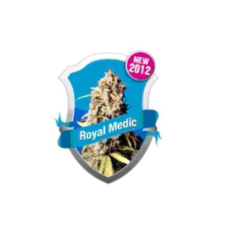 ROYAL MEDIC * ROYAL QUEEN SEEDS 10 SEMI FEM 