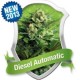 DIESEL AUTOMATIC * ROYAL QUEEN SEEDS 5 SEMI FEM 