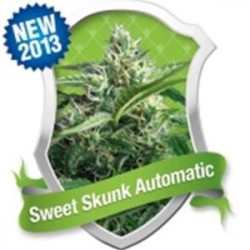 SWEET SKUNK AUTOMATIC * ROYAL QUEEN SEEDS 1 SEME FEM 