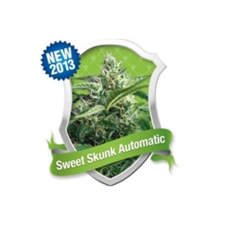 SWEET SKUNK AUTOMATIC * ROYAL QUEEN SEEDS 3 SEMI FEM 