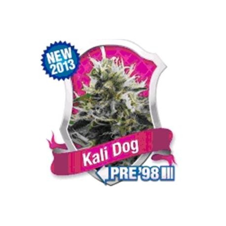 KALI DOG * ROYAL QUEEN SEEDS 3 SEMI FEM 