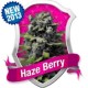 HAZE BERRY * ROYAL QUEEN SEEDS 1 SEME FEM 