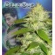 LA MUSA * DELICIOUS SEEDS AUTOMATIC 1 SEME FEM