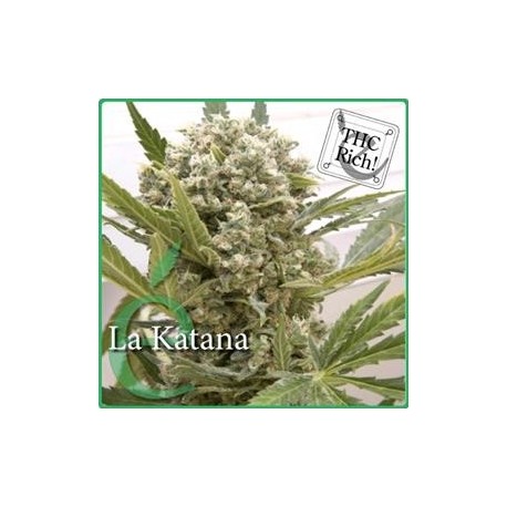 LA KATANA * ELITE SEEDS 7 SEMI FEM 