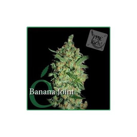 BANANA JOINT * ELITE SEEDS 7 SEMI FEM 