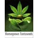 INDOOR MIX * HOMEGROWN FANTASEEDS 5 SEMI REG 