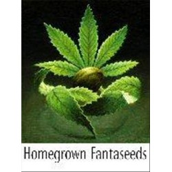 INDOOR MIX * HOMEGROWN FANTASEEDS 5 SEMI REG 