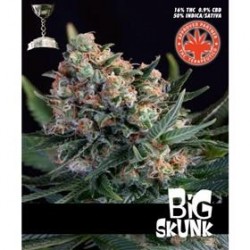 BIG SKUNK * PURE SEEDS 5 SEMI FEM