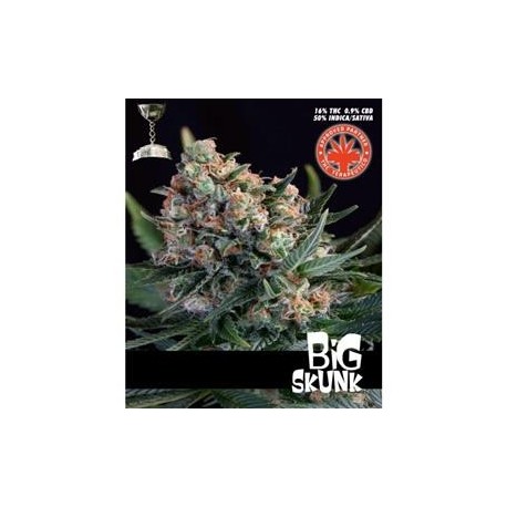 BIG SKUNK * PURE SEEDS 5 SEMI FEM