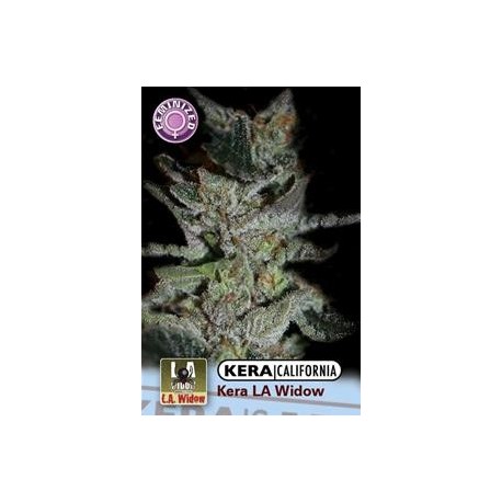 KERA CALIFORNIA LA WIDOW * KERA SEEDS 5 SEMI FEM