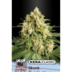 KERA CLASSIC SKUNK* KERA SEEDS 5 SEMI FEM