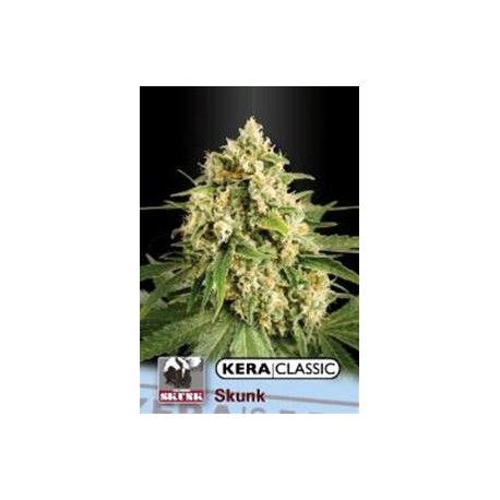 KERA CLASSIC SKUNK* KERA SEEDS 5 SEMI FEM