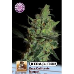 KERA CALIFORNIA NUGGET* KERA SEEDS 5 SEMI FEM