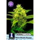 KERA DUTCH POWER 2.0 * KERA SEEDS 5 SEMI FEM