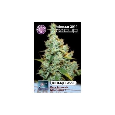 AMNESIA MAC GANJA * KERA SEEDS 5 SEMI FEM