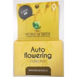 AUTOFLOWERING COLLECTION * WORLD OF SEEDS 8 SEMI FEM