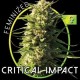 CRITICAL IMPACT* VISION SEEDS 10 SEMI FEM