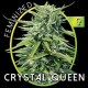 CRYSTAL QUEEN* VISION SEEDS 5 SEMI FEM