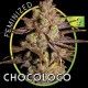 CHOCO BUD (EX CHOCOLOCO)* VISION SEEDS 3 SEMI FEM