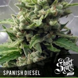 AUTO SPANISH DIESEL*BOUTIQUE LINE SHORT STUFF SEEDS 5 SEMI FEM