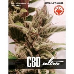 CBD ULTRA * PURE SEEDS 1 SEME FEM