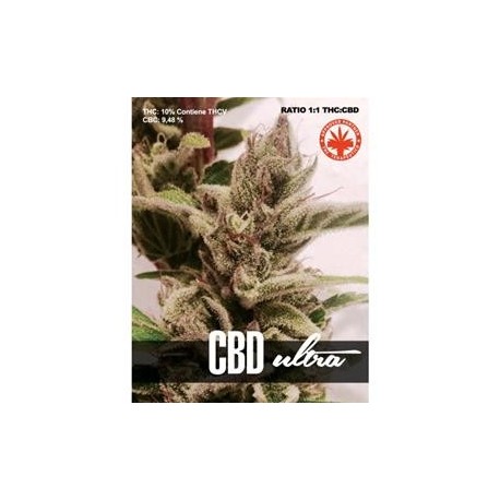 CBD ULTRA * PURE SEEDS 1 SEME FEM