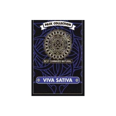 VIVA SATIVA * BCN SEEDS 6 SEMI FEM 