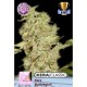 BUBBLEGUM * KERA SEEDS CLASSIC 10 SEMI FEM