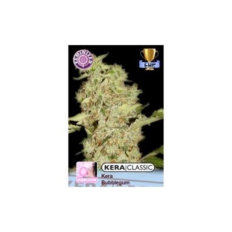 BUBBLEGUM * KERA SEEDS CLASSIC 10 SEMI FEM