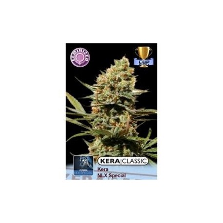 KERA NLX SPECIAL * KERA SEEDS CLASSIC 5 SEMI FEM