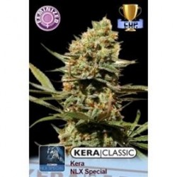 KERA NLX SPECIAL * KERA SEEDS CLASSIC 3 SEMI FEM