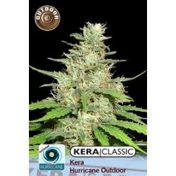 KERA OUTDOOR HURRICANE * KERA SEEDS CLASSIC 5 SEMI FEM