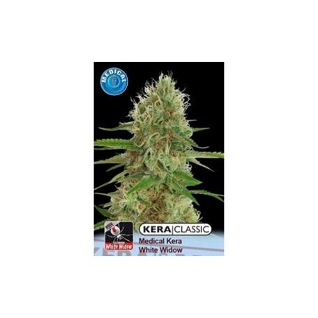 KERA MEDICAL WHITE WIDOW * KERA SEEDS CLASSIC 5 SEMI FEM