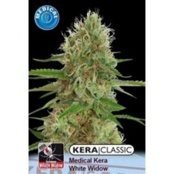 KERA MEDICAL WHITE WIDOW * KERA SEEDS CLASSIC 1 SEME FEM