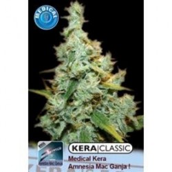 KERA MEDICAL AMNESIA MAC GANJA * KERA SEEDS CLASSIC 3 SEMI FEM