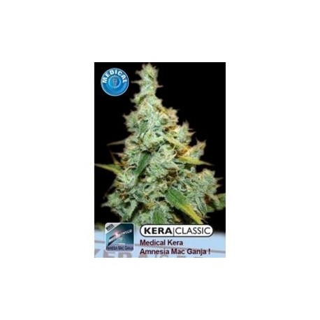 KERA MEDICAL AMNESIA MAC GANJA * KERA SEEDS CLASSIC 3 SEMI FEM