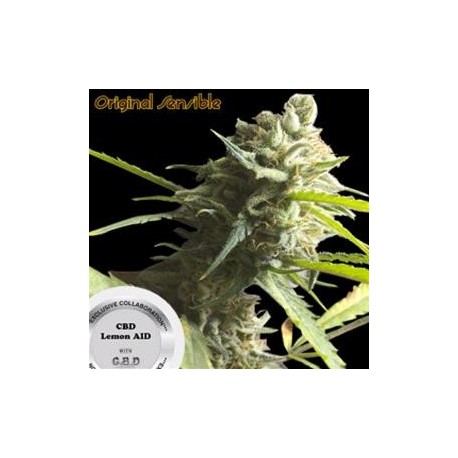 CBD LEMON AID * ORIGINAL SENSIBLE SEED 1 SEME FEM