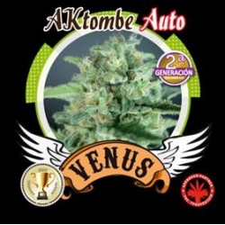 AKTOMBE AUTO* VENUS GENETICS 3 SEMI FEM