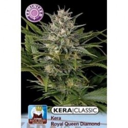 KERA ROYAL QUEEN DIAMOND * KERA SEEDS CLASSIC 1 SEME FEM