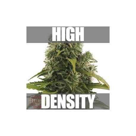 HIGH DENSITY AUTO * HEAVYWEIGHT SEEDS 3 SEMI FEM