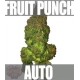 FRUIT PUNCH AUTO * HEAVYWEIGHT SEEDS 3 SEMI FEM