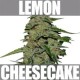 LEMON CAKE* HEAVYWEIGHT SEEDS 10 SEMI FEM